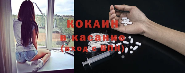 дживик Абинск