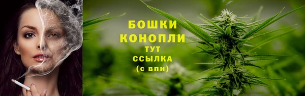 дживик Зерноград