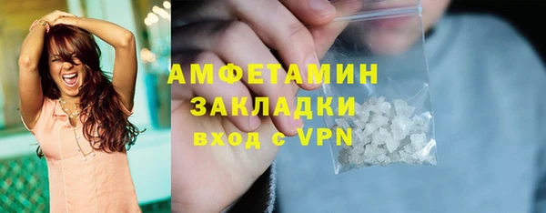 индика Протвино