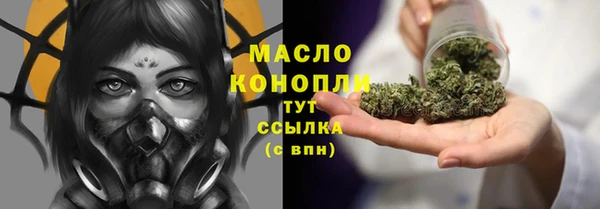 шишки Верея