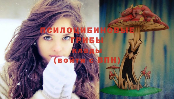стафф Приозерск