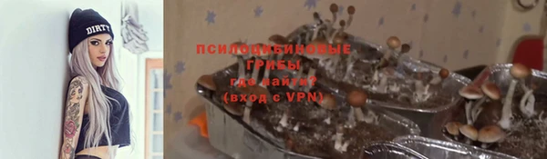 индика Протвино
