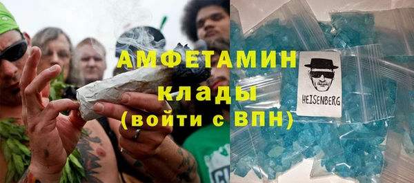 индика Протвино