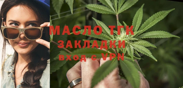 индика Протвино