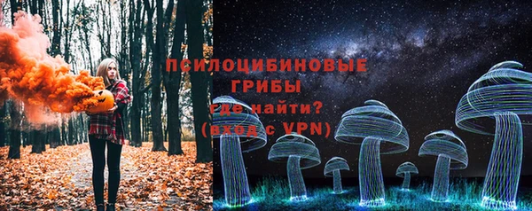стафф Приозерск