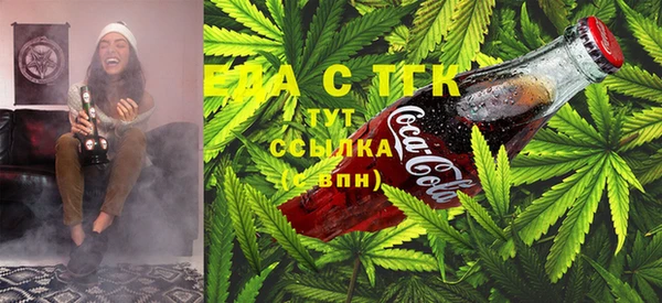 шишки Верея