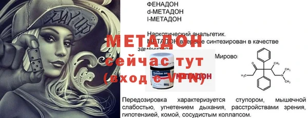 индика Протвино